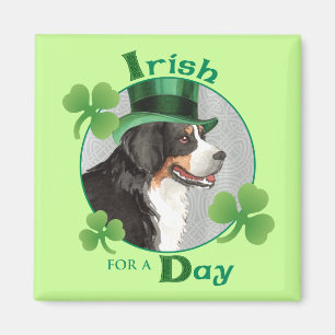 St Patrick Tag Berner Magnet