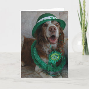 ST PATRICK TAG BRETAGNE KARTE