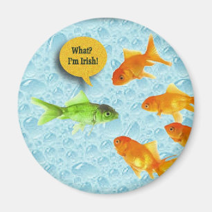 St Patrick Tag, Goldfish-Spaß Magnet