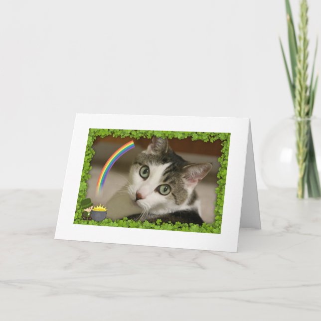 St Patrick Tag Gracey Feiertagskarte (Vorderseite)