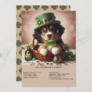 St Patrick's Day Australian Shepherd Puppy Einladung