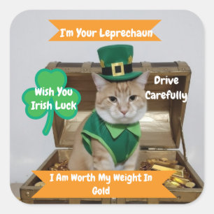 St. Patrick's Day Autoaufkleber mit Katzenhumor Quadratischer Aufkleber
