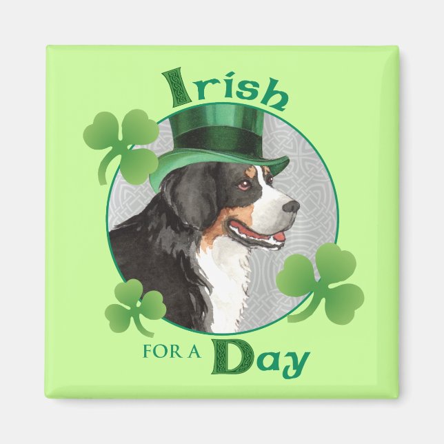 St. Patrick's Day Berner Magnet (Vorne)