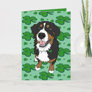 St. Patrick's Day Bernese Mountain Dog Feiertagskarte