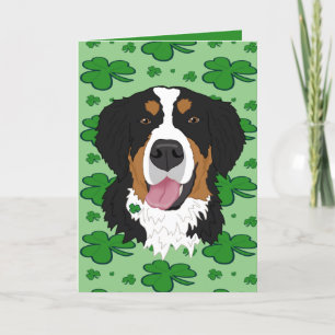 St. Patrick's Day Bernese Mountain Dog Feiertagskarte