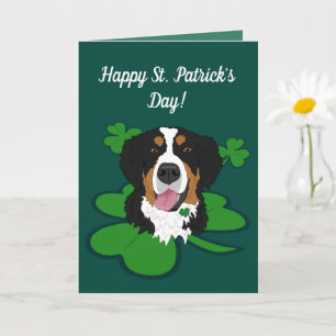 St. Patrick's Day Bernese Mountain Dog Karte