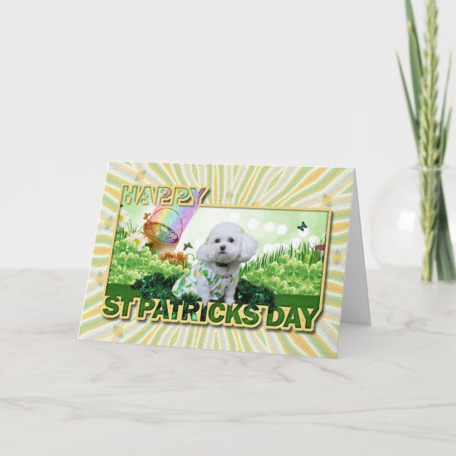 St Patrick's Day - Bichon Frise - Mia Karte (Vorderseite)