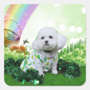 St Patrick's Day - Bichon Frise - Mia Quadratischer Aufkleber