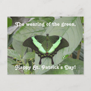 St. Patrick's Day Butterfly Postkarte