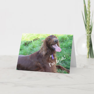 St. Patrick's Day Card mit einem irischen Setter Feiertagskarte