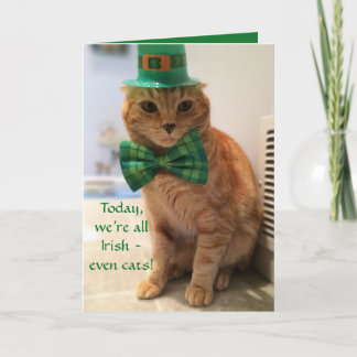 St. Patrick's Day Card mit einer niedlichen Katze Karte