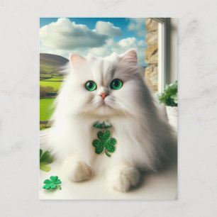 St Patricks Day Cat Fluffy White Cat Green Eyes Postkarte