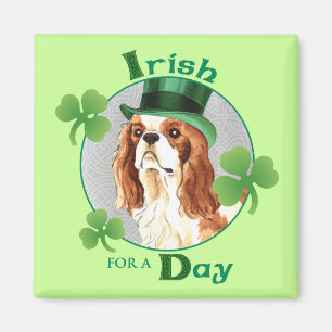 St. Patrick's Day Cavalier Magnet