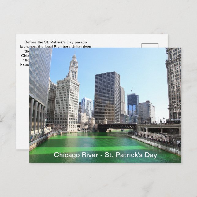 St. Patrick's Day Chicago's Green River Fun Fakten Postkarte (Vorne/Hinten)