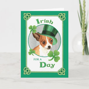 St. Patrick's Day Chihuahua Karte