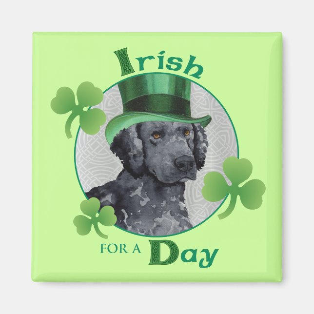 St. Patrick's Day Curly Coated Retriever Magnet (Vorne)