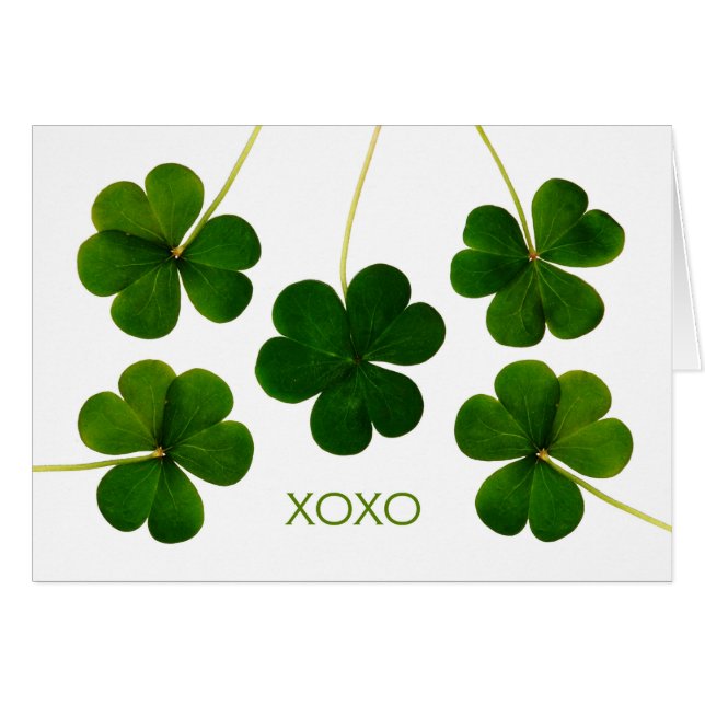 St. Patrick's Day for Boyfriend, XOXO Kleeblatts (Vorderseite (Horizontal))