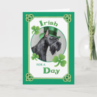 St. Patrick's Day Giant Schnauzer