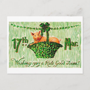 St. Patricks Day Glücksschwein, Vintage Postkarte