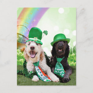 St Patricks Day - Golden Doodles - Sadie und Izzie Postkarte