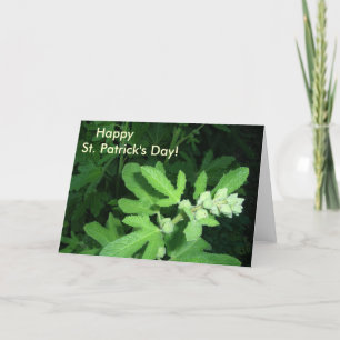 St. Patrick's Day Green Pflanze Karte