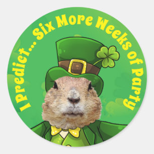 St. Patrick's Day Groundhog Party Animal Runder Aufkleber