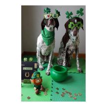 St. Patrick's Day Hogs Party Value Poster