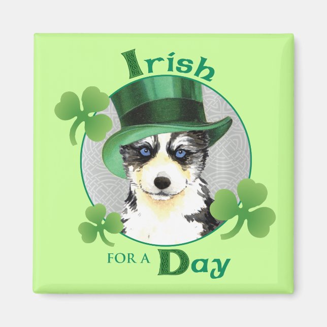 St. Patrick's Day Husky Magnet (Vorne)