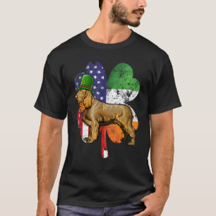 St Patricks Day Irisch-Amerikanische Flagge Boykin T-Shirt