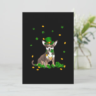 St Patricks Day Irish Chihuahua mit Green Hat Gif