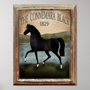 St Patricks Day Irish Horse, benutzerdefiniertes L Poster