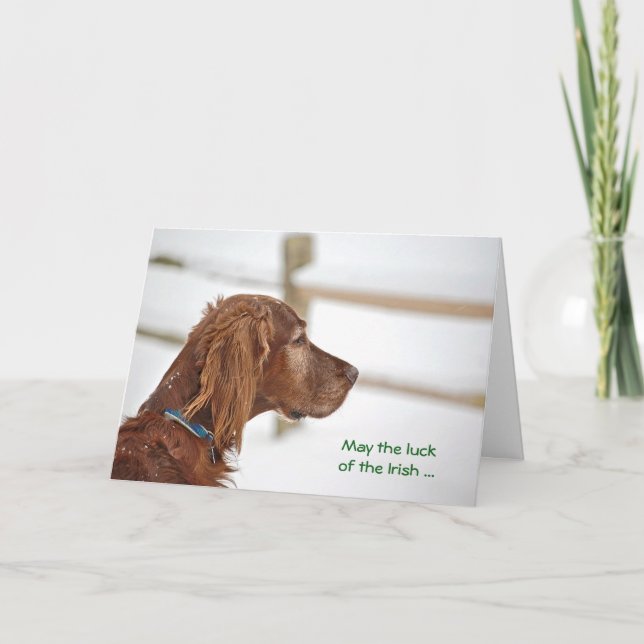 St. Patrick's Day Irish Setter Karte (Vorderseite)