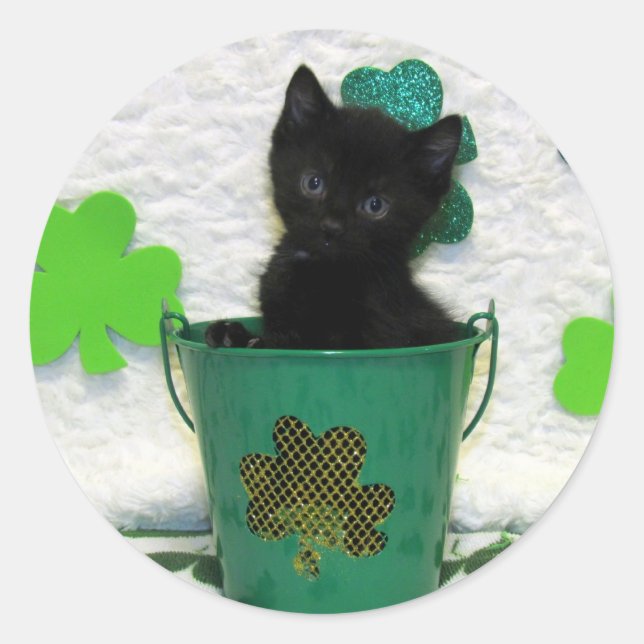 St. Patrick's Day - Katze / Kitten Runder Aufkleber (Vorderseite)