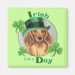 St. Patrick's Day Langhaarige Dackel Magnet