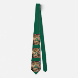 St. Patricks Day Leprechaun Katze Krawatte