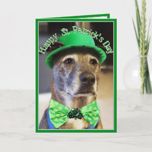 St Patrick's Day Lucky Dog Karte
