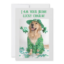 St. Patrick's Day Lustige Personalisierbare Hundek