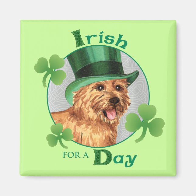 St. Patrick's Day Norwich Terrier Magnet (Vorne)