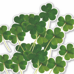 St Patrick's Day Party Shamrock Leaf Green 2020 Aufkleber