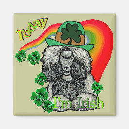 St Patrick's Day Poodle Magnet