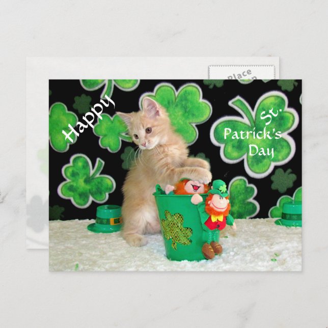 St. Patrick's Day Postcard in Buffington - Katze Postkarte (Vorne/Hinten)