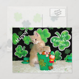 St. Patrick's Day Postcard in Buffington - Katze Postkarte