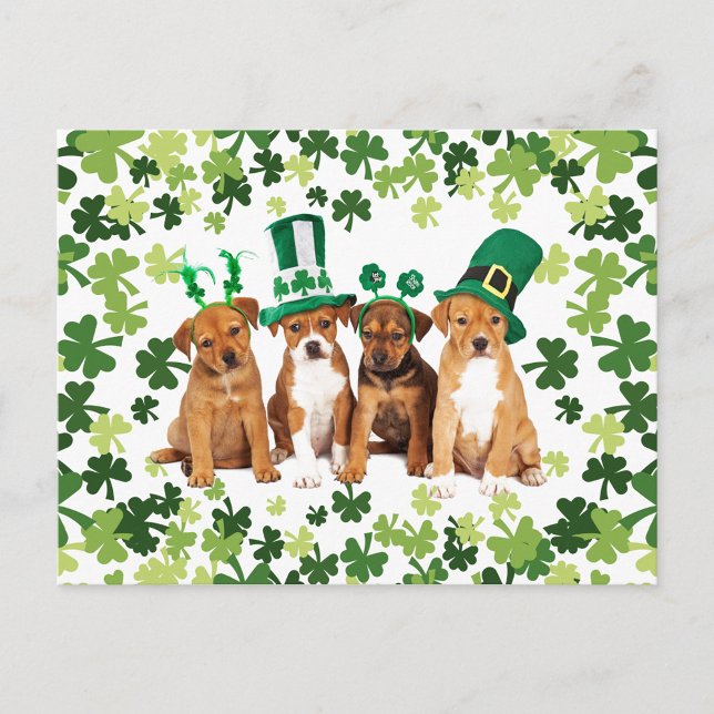 St. Patrick's Day Postkarte (Von Creator hochgeladen)