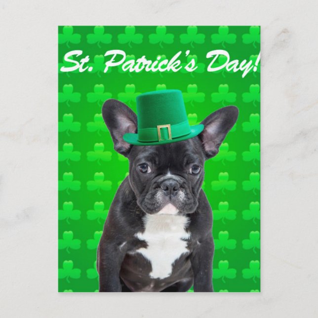 St. Patrick's Day Postkarte (Vorderseite)