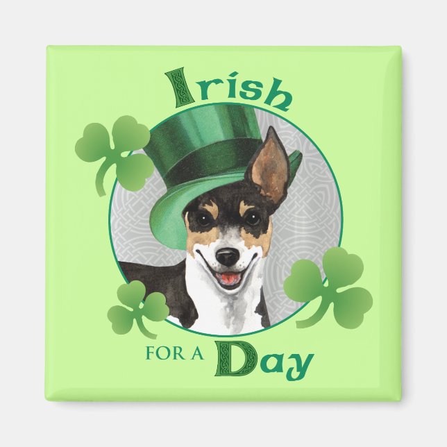 St. Patrick's Day Rat Terrier Magnet (Vorne)