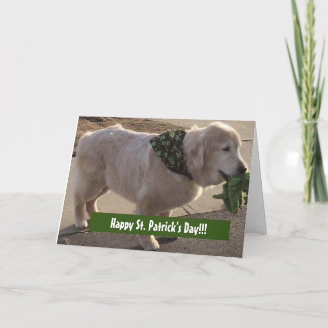 St. Patrick's Day Segen - Karte (Vorderseite)