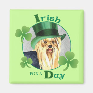 St. Patrick's Day Yorkie Magnet