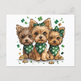 St. Patrick's Day Yorkshire Terrier Dogs Postkarte