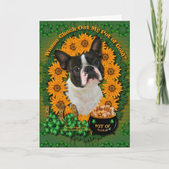 St. Patricks - Goldschatz - Boston Terrier Karte (Vorderseite)
