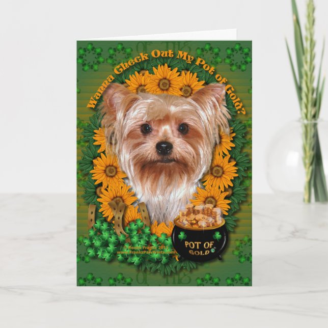 St. Patricks - Goldschatz - Yorkshire Terrier Karte (Vorderseite)